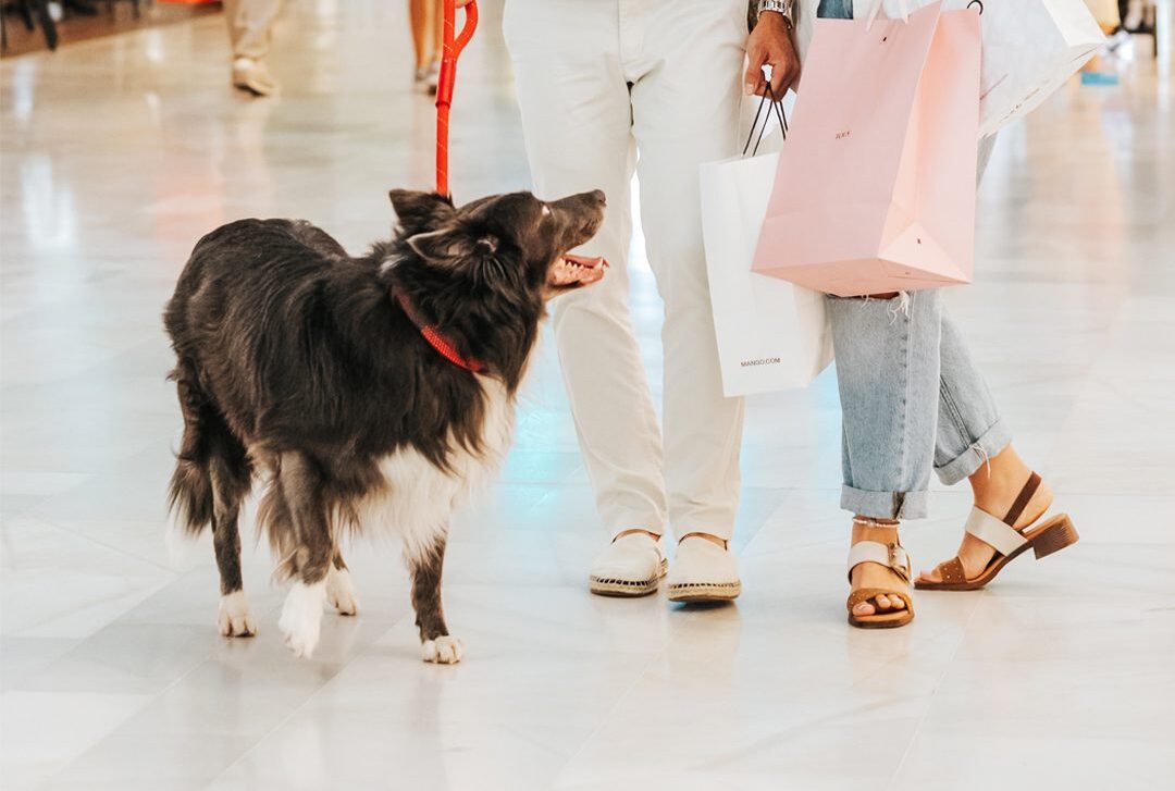centro comercial el faro con perro badajoz