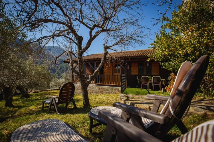 dog_inquieta_alojamiento_casa_rural_mi_balconcito