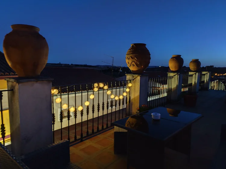 dog_inquieta_alojamiento_casa_del_caño