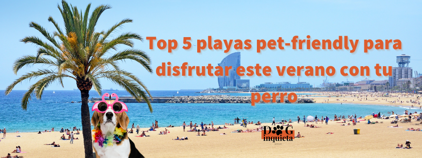 top-5-playas-pet-friendly-para-disfrutar-este-verano-con-tu-perro