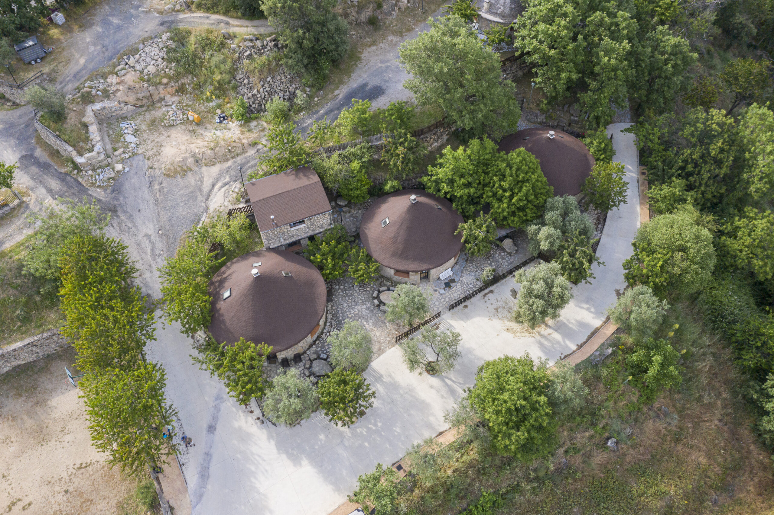 dog_inquieta_complejo_turistico_rural_el_solitario_chozos