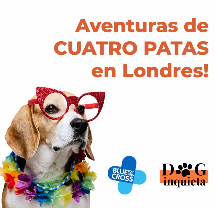 ¡Aventuras de Cuatro Patas en Londres!