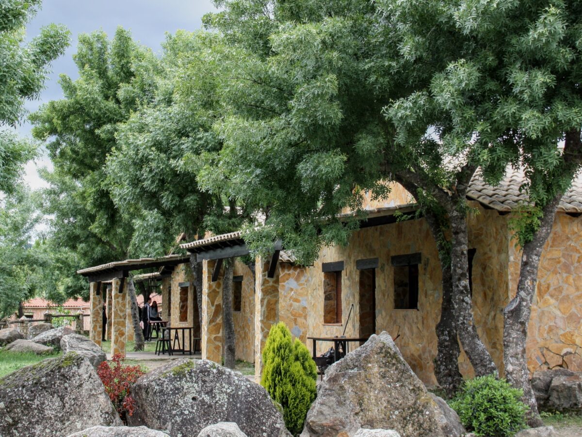 dog_inquieta_alojamientos_complejo_turistico_las_cañadas_casas_de_campo