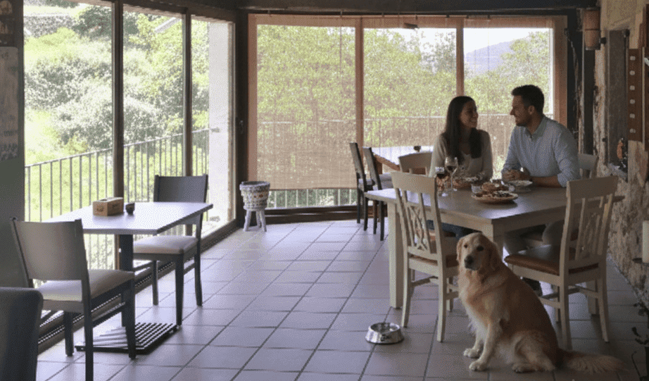 restaurante el puente con perro extremadura baños de montemayor