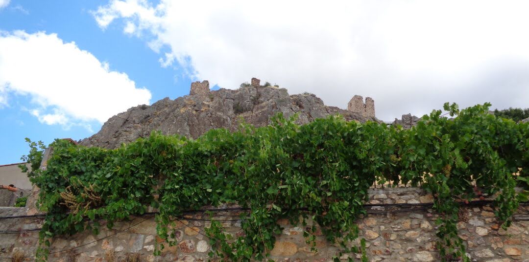 dog-inquieta-ruta-villanueva-del-fresno