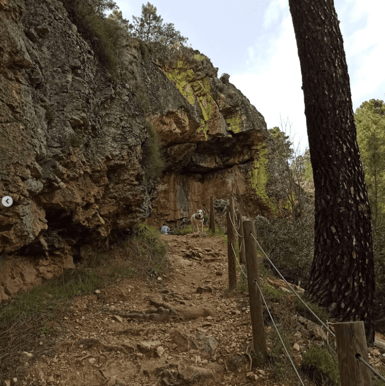 dog-inquieta-ruta-cañamero