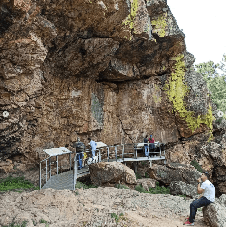 dog-inquieta-ruta-cañamero