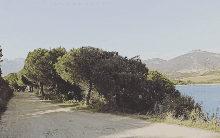 dog-inquieta-ruta-cañamero