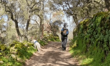 dog_inquieta_ruta_montánchez