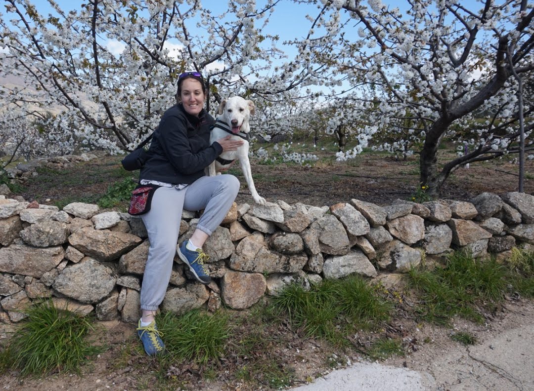 dog_inquieta_ruta_valle_del_jerte