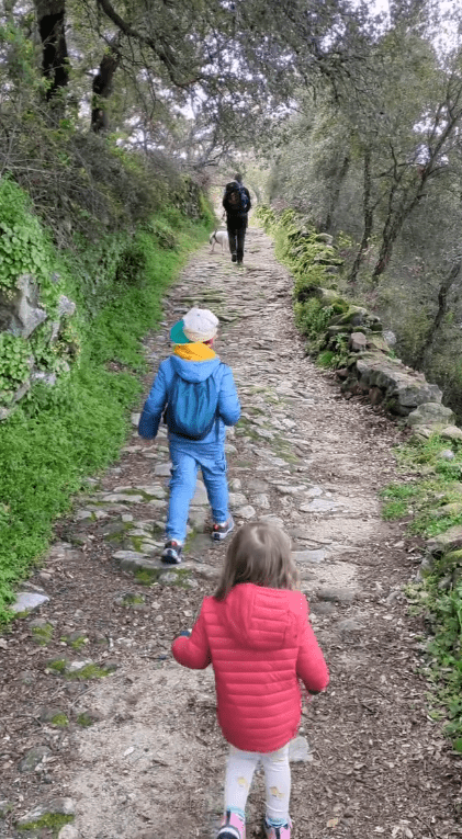 dog-inquieta-ruta-montánchez