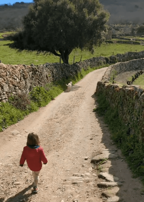 dog-inquieta-ruta-montánchez