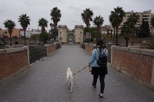 dog_inquieta_ruta_un_fin_de_semana_en_badajoz