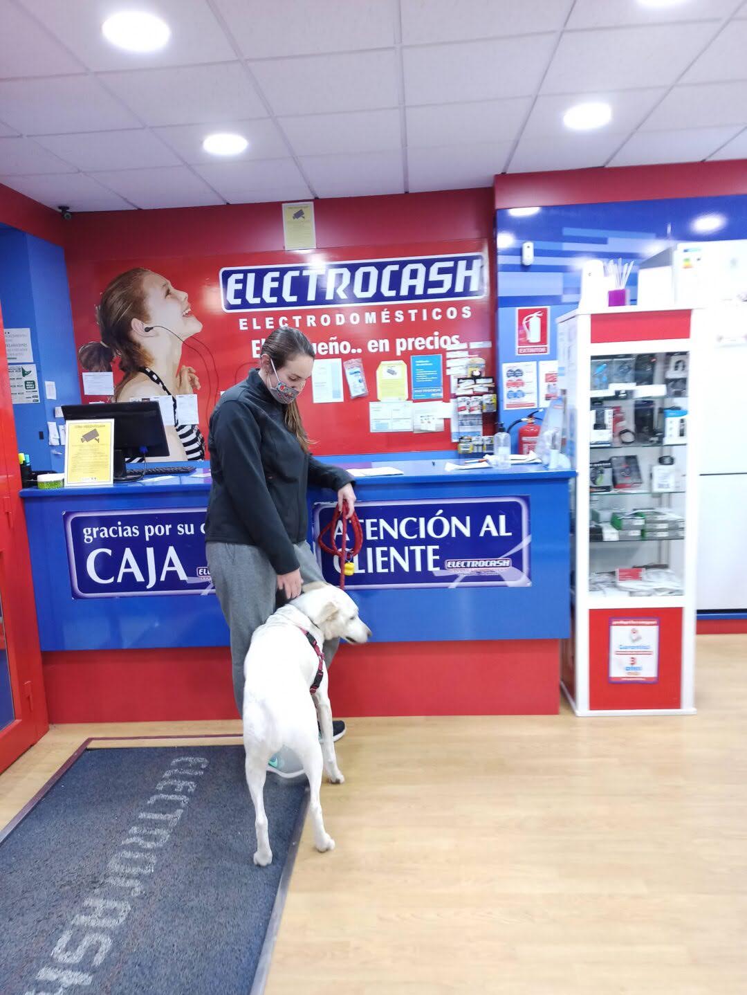 dog_inquieta_tiendas_elelectrocash