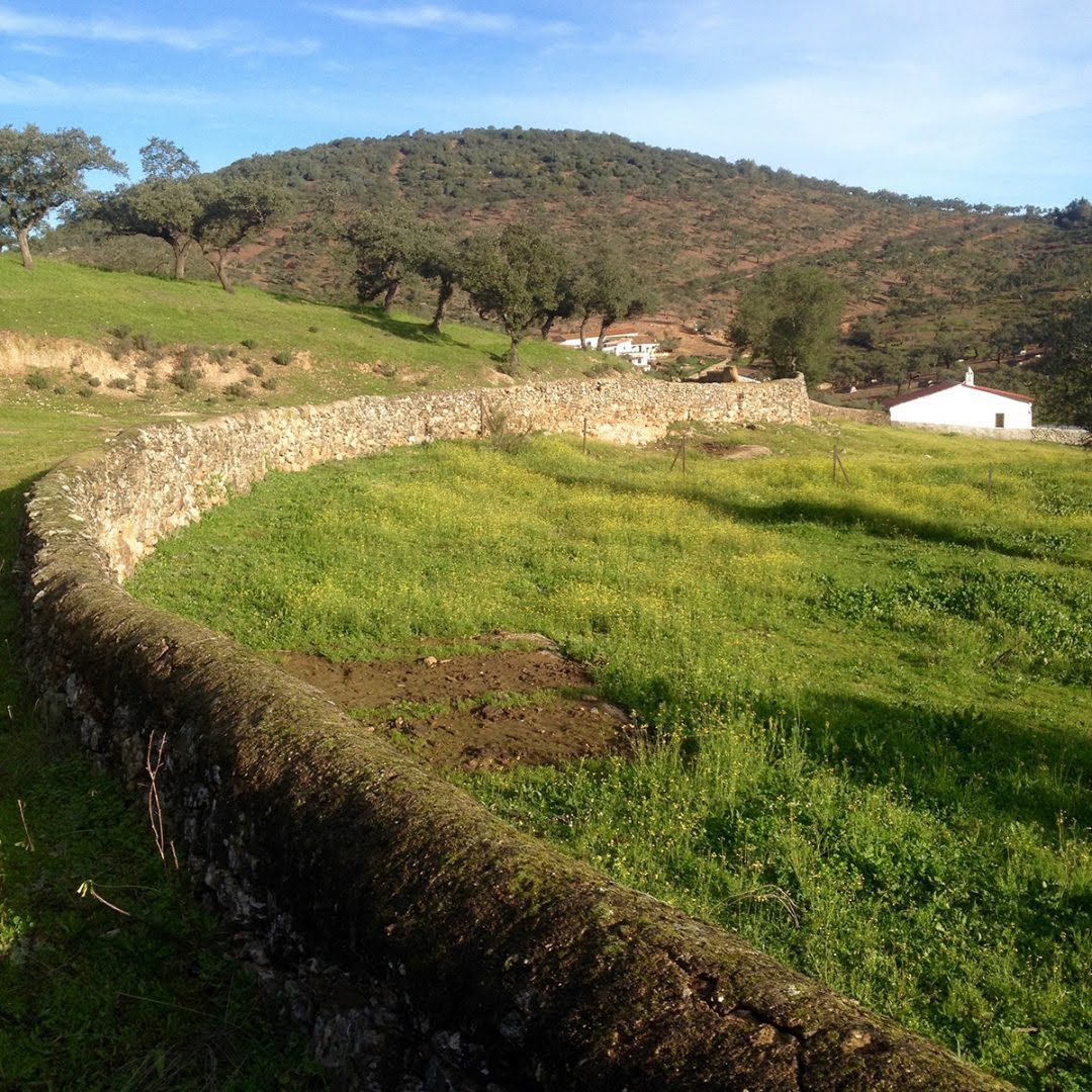 dog_inquieta_ruta_los_molinos