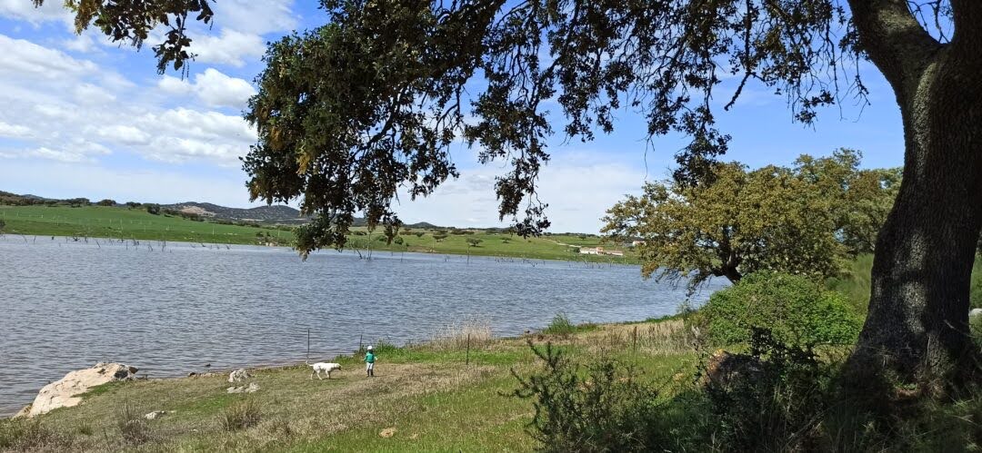 dog-inquieta-ruta-embalse-de-alqueva