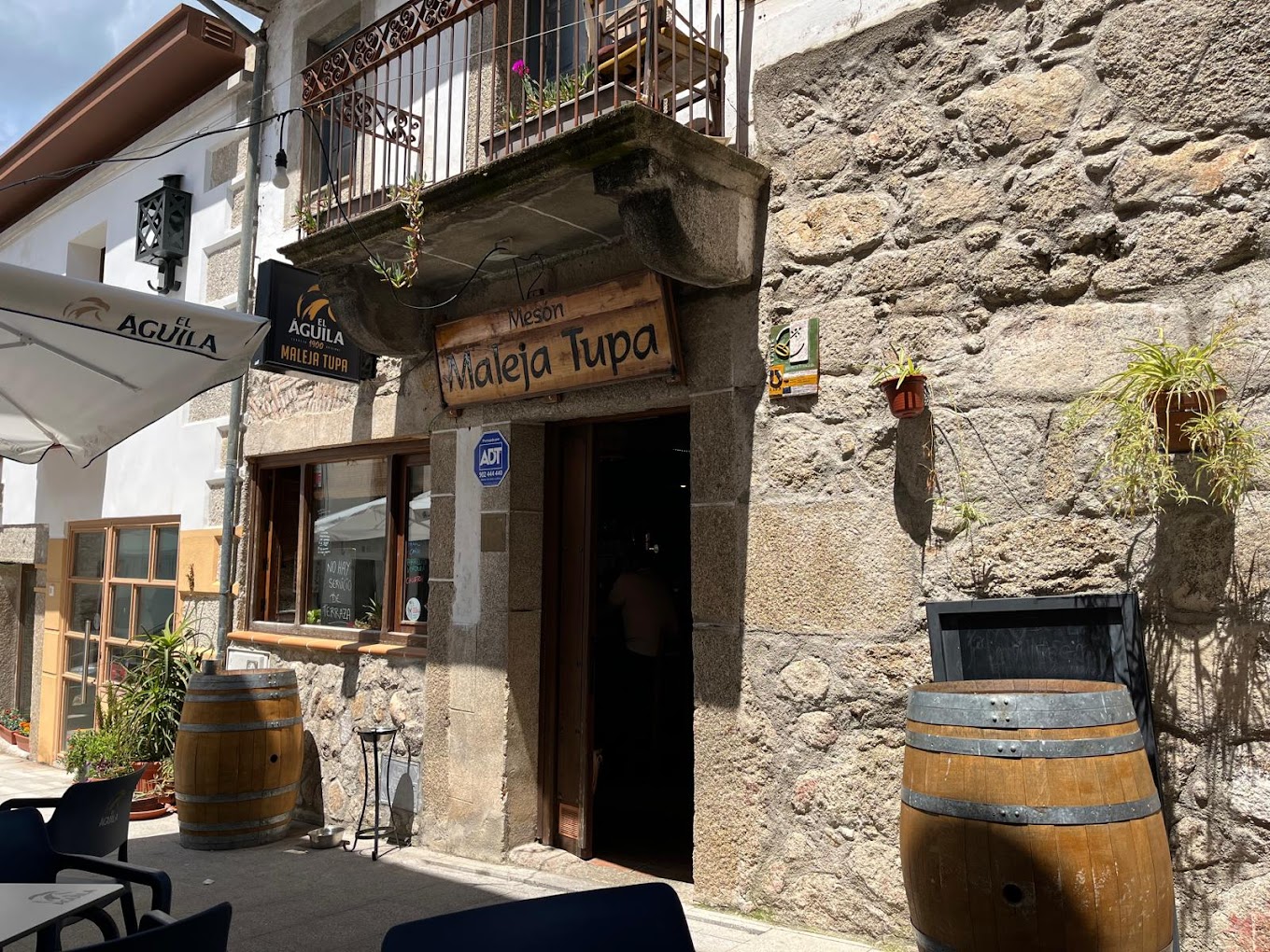 dog_inquieta_restaurante_meson_maleja_tupa